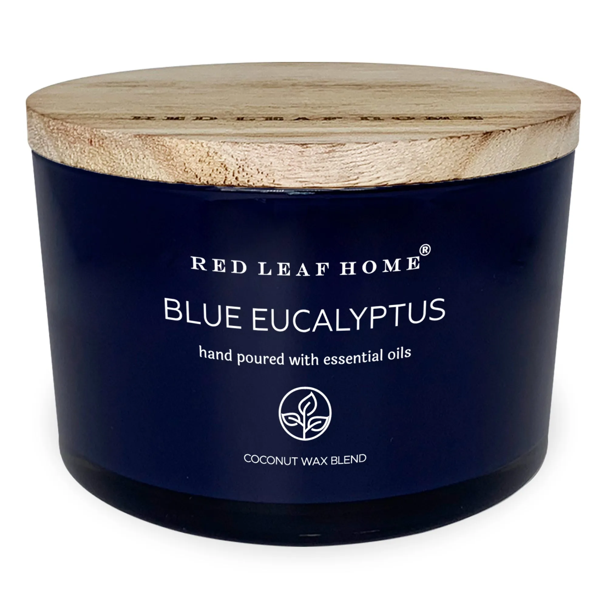 Blue Eucalyptus