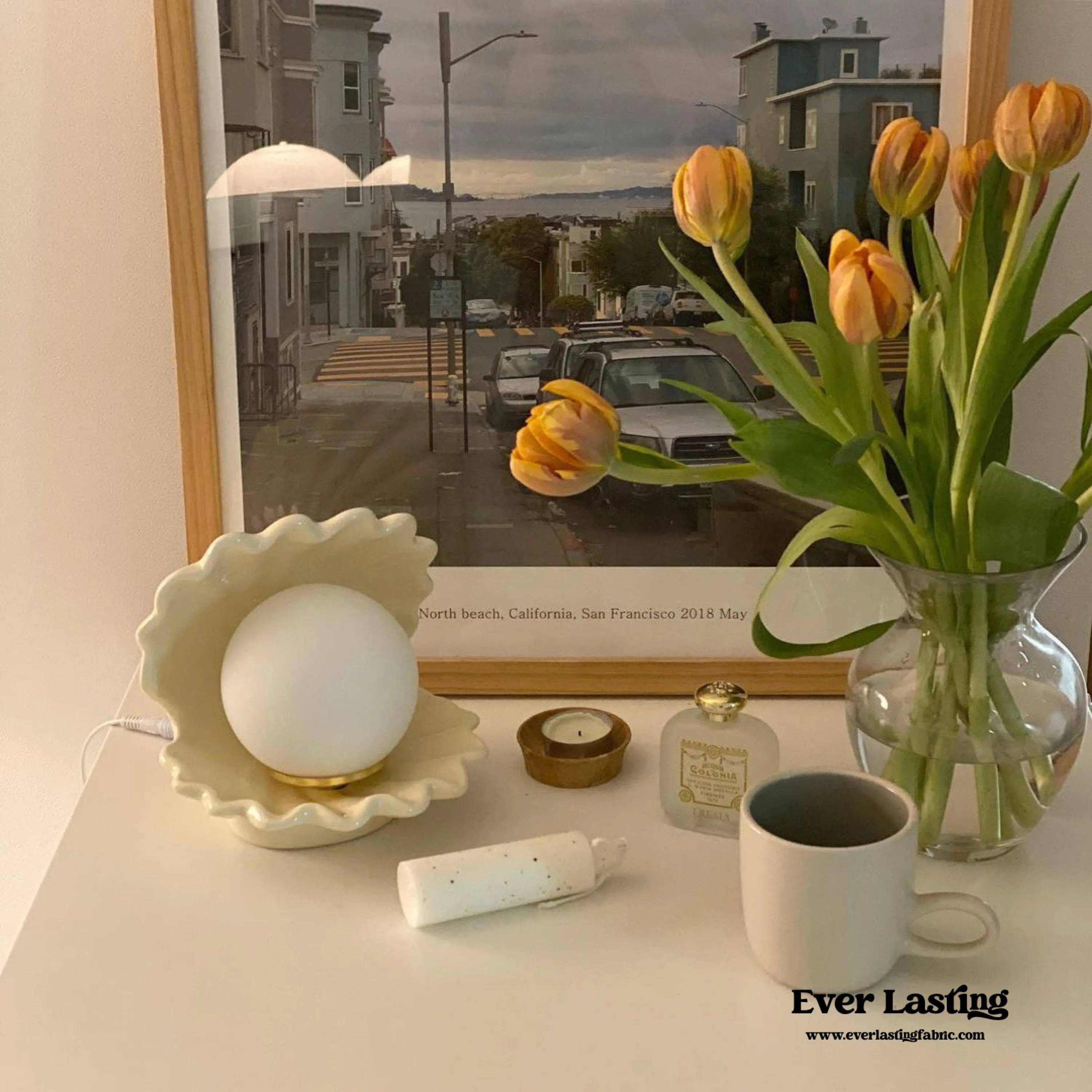 Ceramic Shell Light (5 Colors)