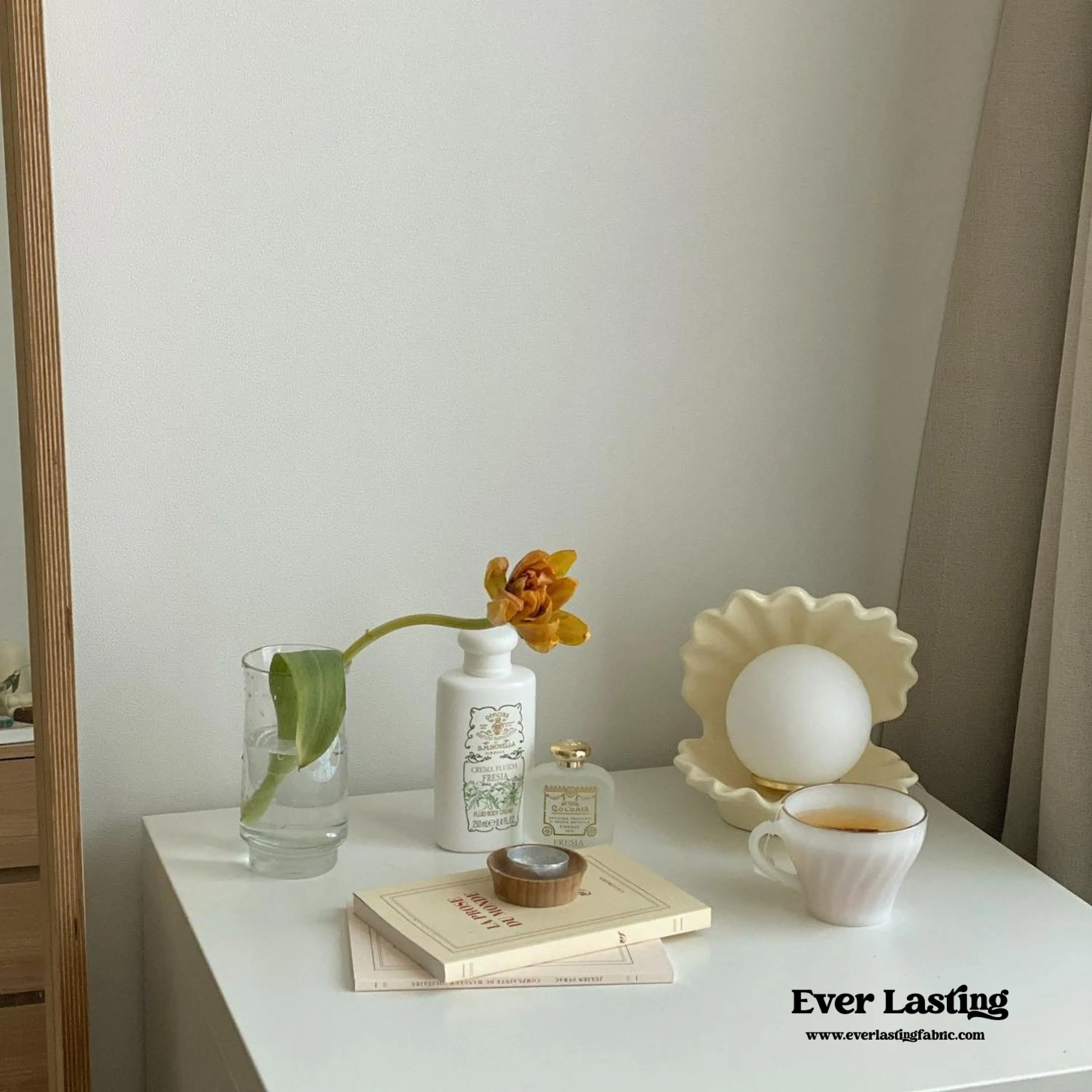 Ceramic Shell Light (5 Colors)