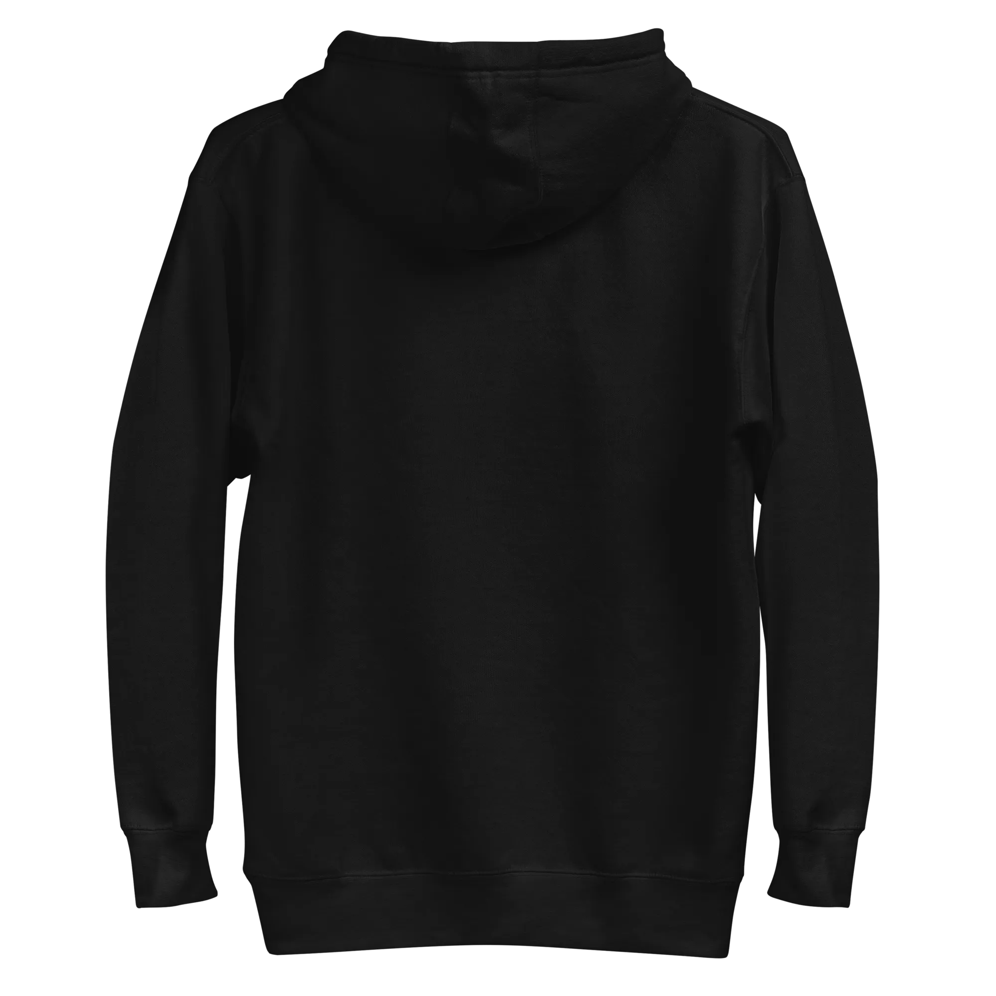 Chase More Rays Hoodie