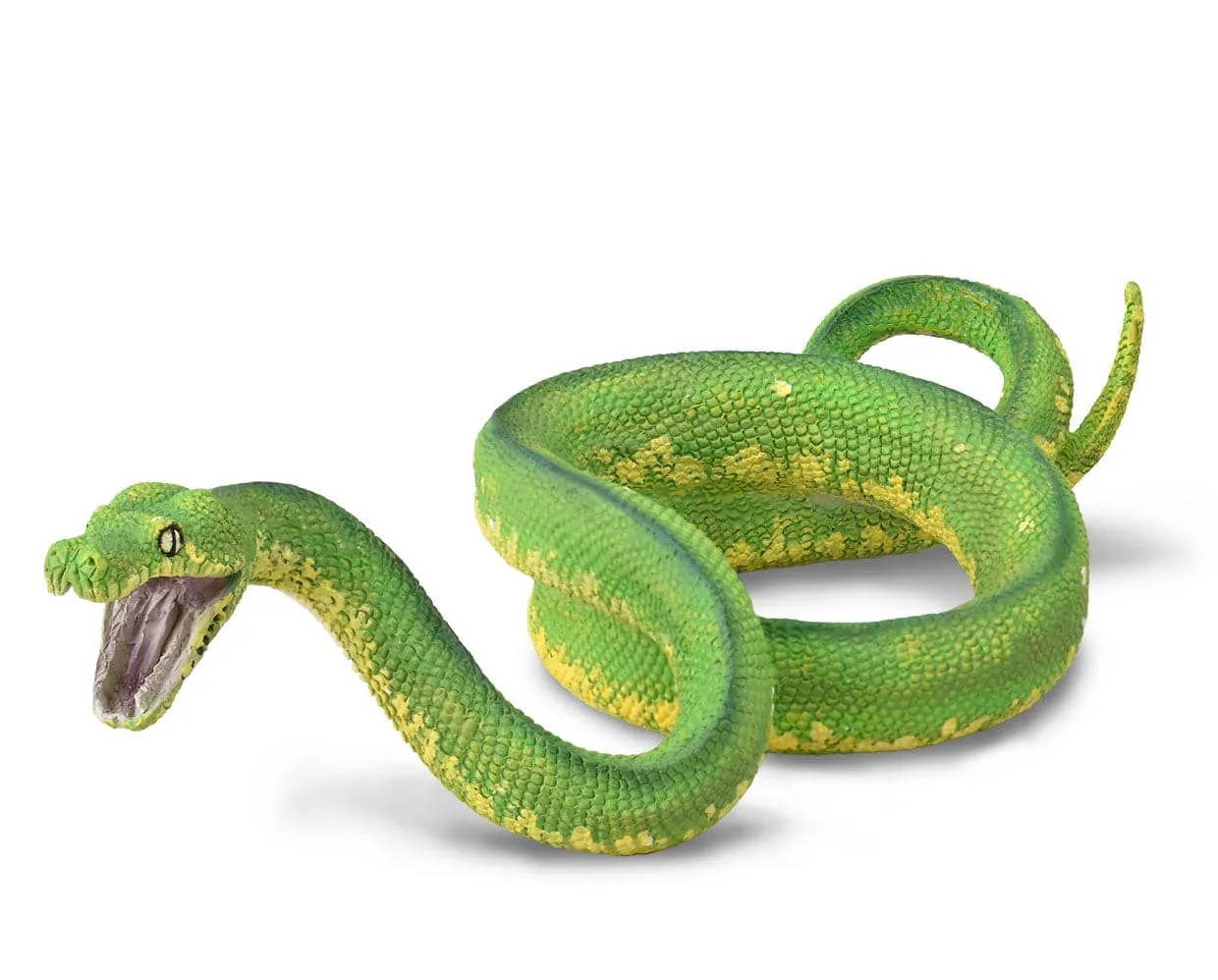 Green Tree Python