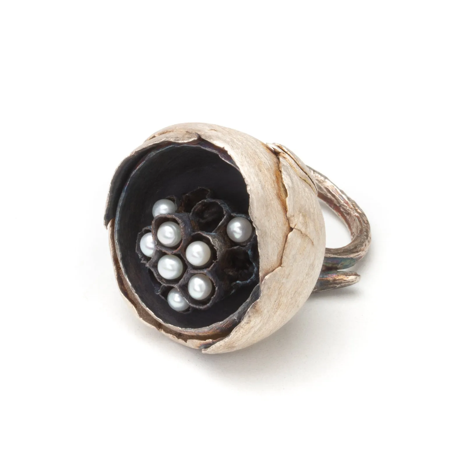 Kattie Jones | Nest