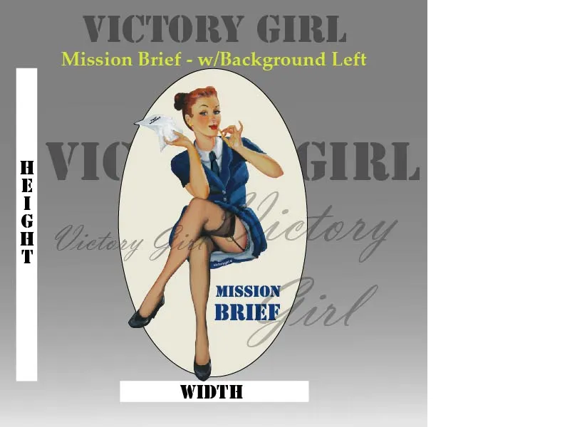 Mission Brief - with background Vinyl Decal Sticker